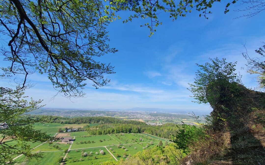 Biketour Ruine Fürstenberg, Hofstetten