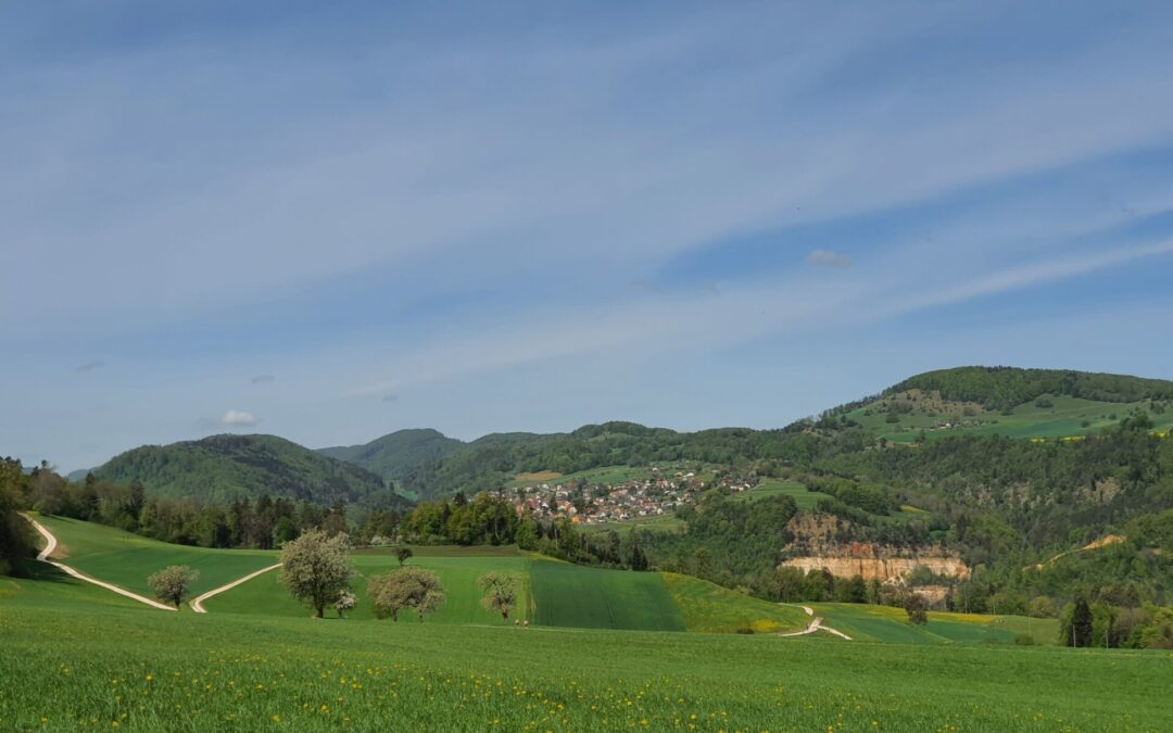 Wilerrundi in Bärschwil