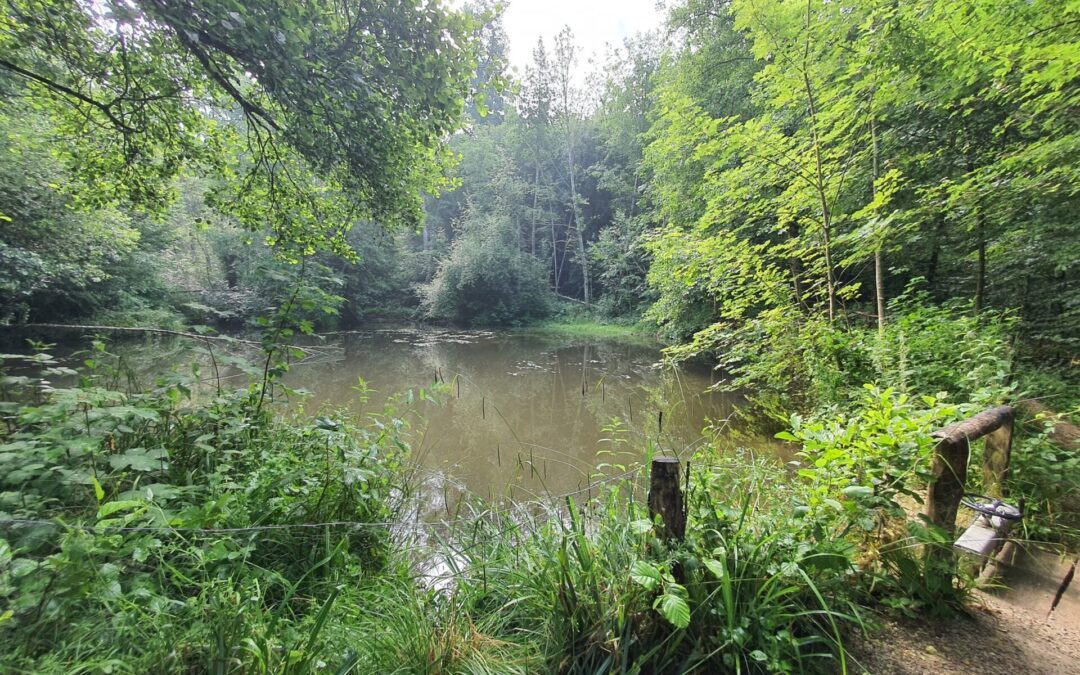 Panda Rundi Kaiseraugst