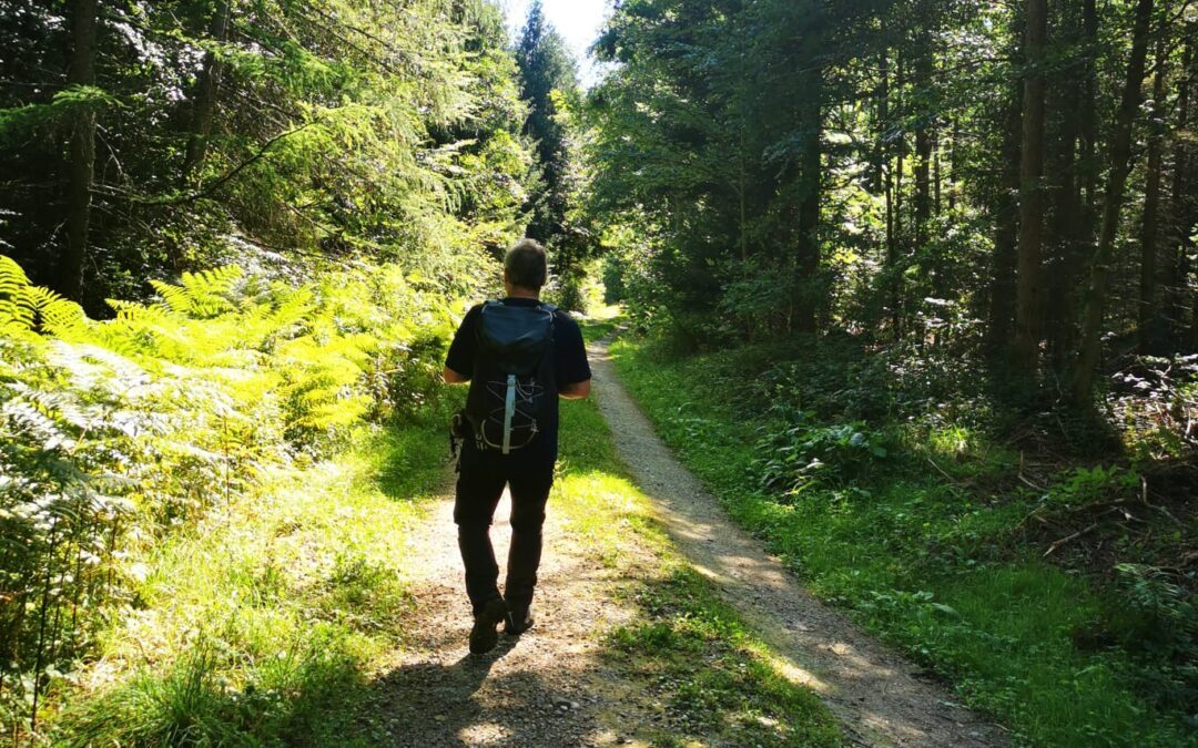 Mettauerberg und Rheinufer Etzgen