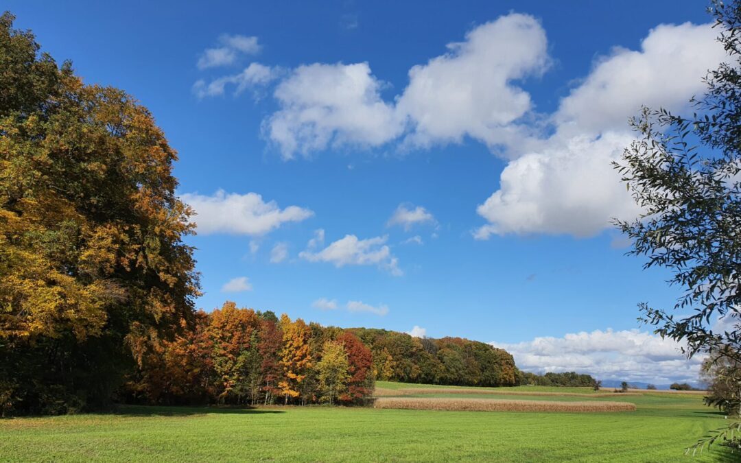 Gränzwägli Spaziergang