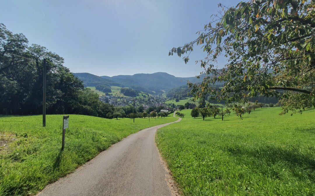 Mit em Bike vo Therwil uf Reigoldswil